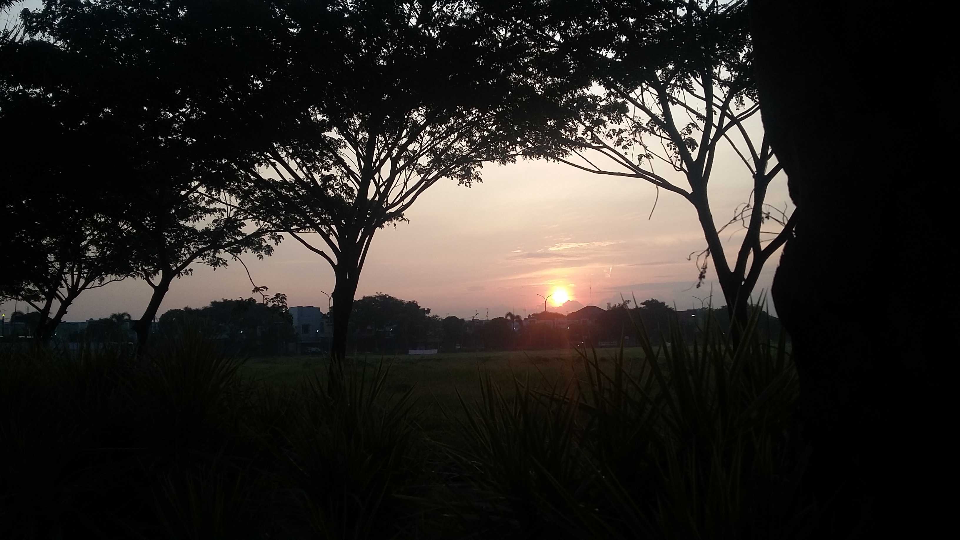 20171019-054205-59e7ff54f13344514014a764